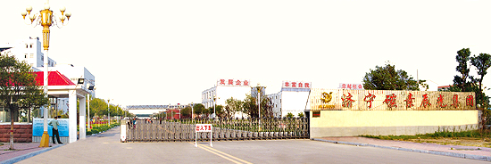 ����l(f��)�ϵ�y(t��ng)��Q�����ṩ��